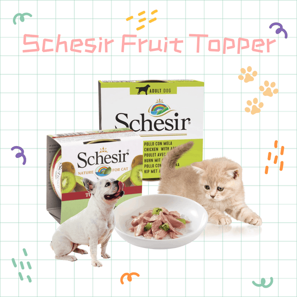 🥝 Schesir Fruit Topper: The Nutritious Taste of Nature for Your Pets - Now at J&J PET CLUB 🐱🐶🐾 - J & J Pet Club