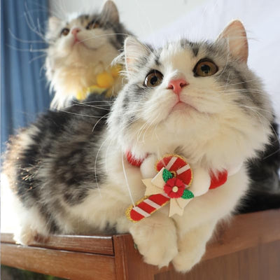 宠物装饰项圈 - 圣诞限定款 🎄🎅🎁