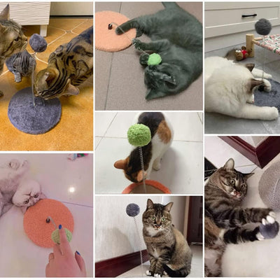 Cat Spring Teaser Ball