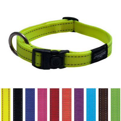 Utility Classic Dog Collar
