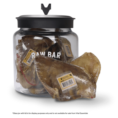 Freeze Dried Dog Treat - Raw Bar - Pig Ear