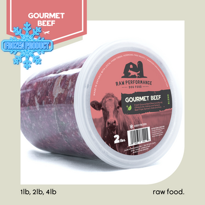 Aliments à chien sec - grappes de nourriture entières pour chiots - poulet sans céréales