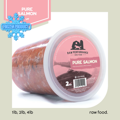 Frozen Raw Food - Pure Salmon