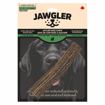 Dog Dental Chew - Whole Antler - Natural Flavor