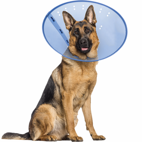 Calming E-Collar