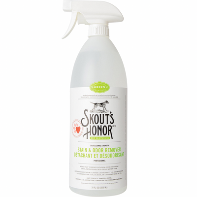 Stain & Odor Remover - Professional Strength