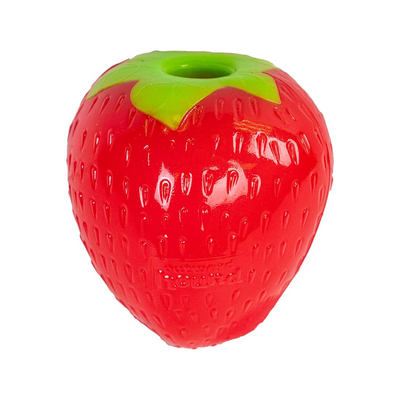 Jouet de distribution de chien de chien, orbee-tuf fraise