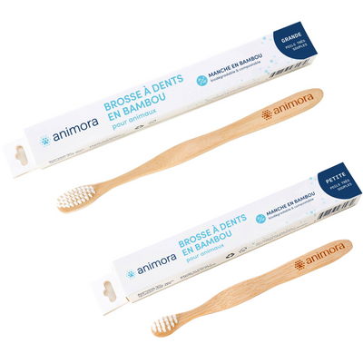 Bamboo Toothbrush
