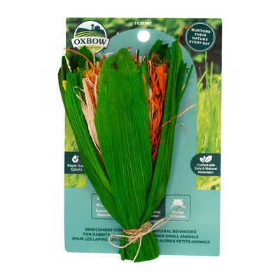 Enriched Life - Celebration Bouquet