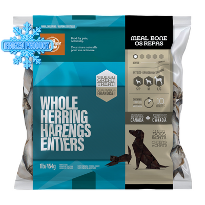 Frozen Raw Bones - Herring