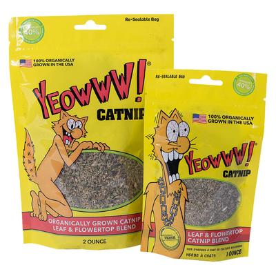 灌装猫薄荷 - 2盎司