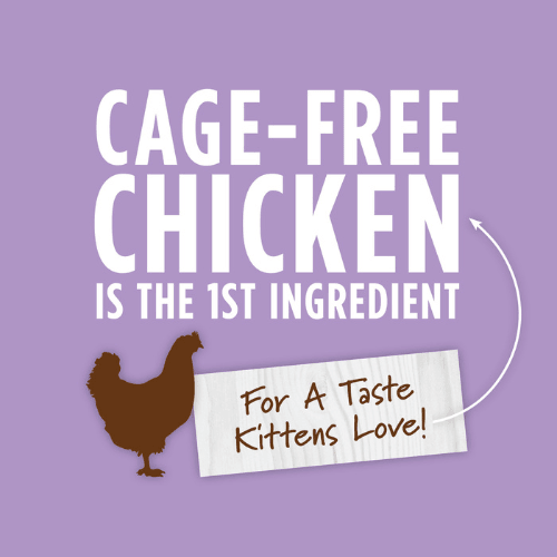 Canned Cat Food - ORIGINAL - Real Chicken Recipe For Kittens - J & J Pet Club - Instinct