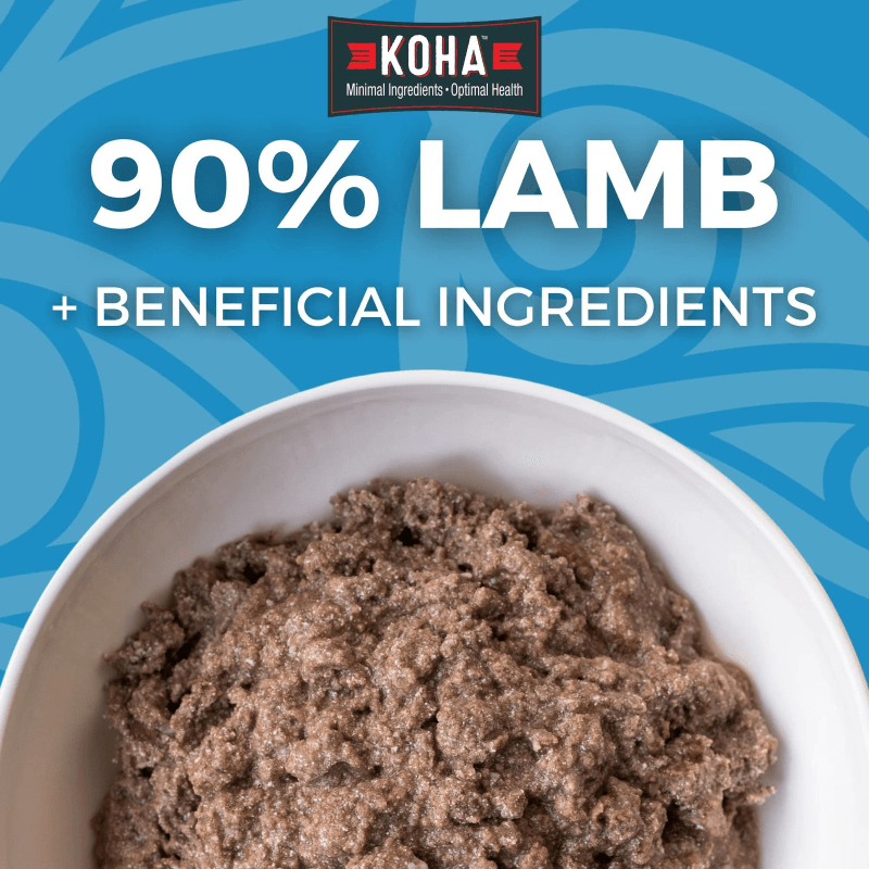 Canned Dog Food - Limited Ingredient Diet - 90% Lamb Entrée with Apples - 13 oz - J & J Pet Club - KOHA