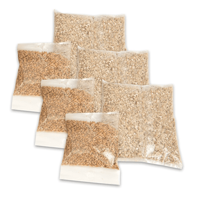 Cat Grass - Senses 2.0 Playground - Cat Grass Kit - 3 sets - J & J Pet Club - Catit