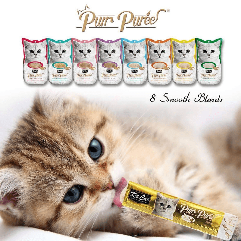 Cat Treat - Purr Purée - Chicken & Salmon - 15 g sachet, pack of 4 - J & J Pet Club - Kit Cat
