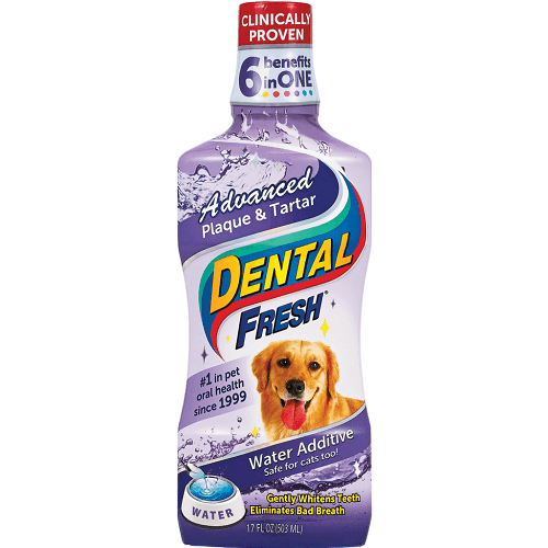 Soins dentaires pour chiens Additif d eau plaque avanc e et