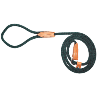 Dog Leash - Quick Walker/ London Leads - Dark Green - 3/8" × 72" - J & J Pet Club - Hamilton