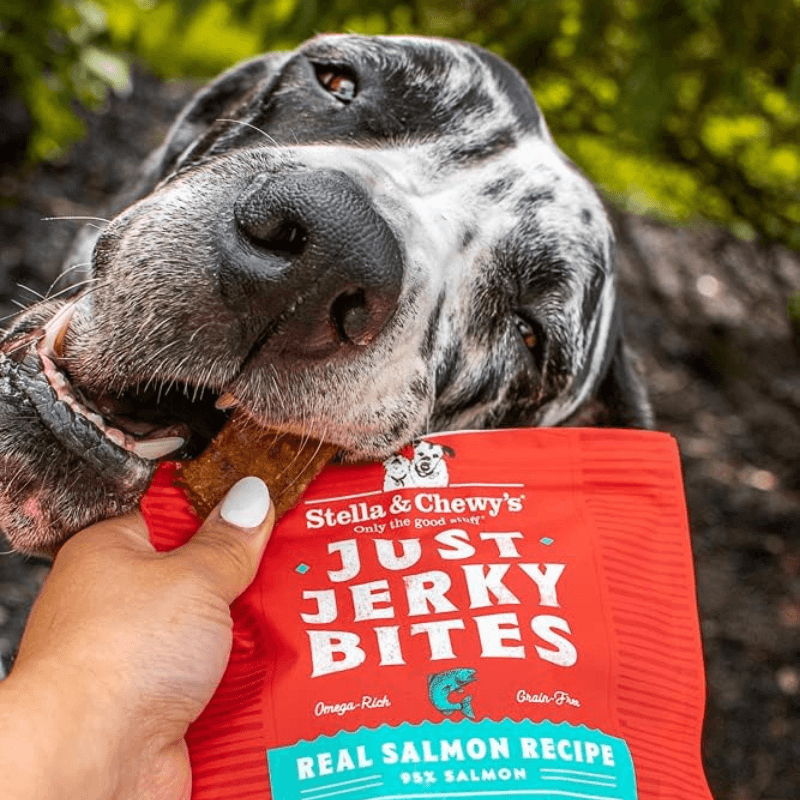 Dog Treat - JUST JERKY BITES - Real Salmon Recipe - 6 oz - J & J Pet Club - Stella & Chewy's