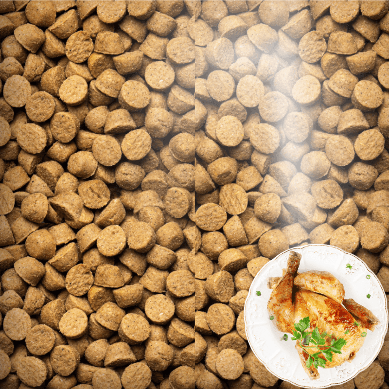 Dry Dog Food - Grain Free Chicken - All Life Stages Small Breed - J & J Pet Club - Oven-Baked Tradition