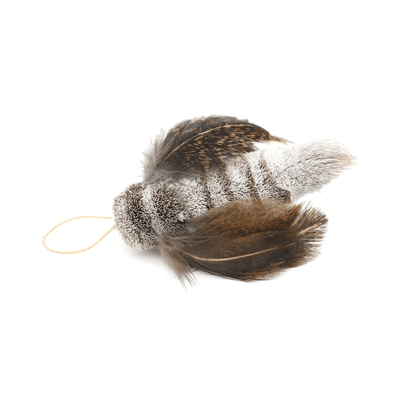 Easy Clip Attachment - CAT LURES - MOTH FLYER - J & J Pet Club - GO CAT