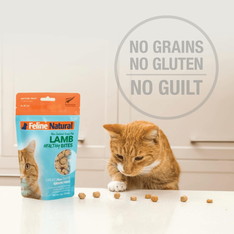 Freeze Dried Cat Treat - HEALTHY BITES - Beef & Organs - 1.76 oz - J & J Pet Club - Feline Natural