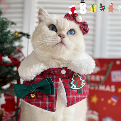 宠物披风 - 配蝴蝶结装饰