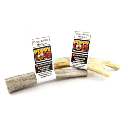 Natural Dog Chews - Deer Antler - 1 pc (Bulk) - J & J Pet Club - Puppy Love