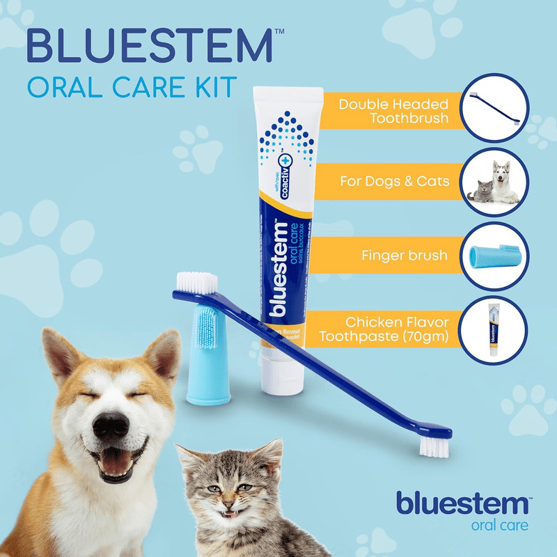 Oral Care Kit For Dogs & Cats - FRESH BREATH - Chicken Flavor - 70 mL - J & J Pet Club - Bluestem