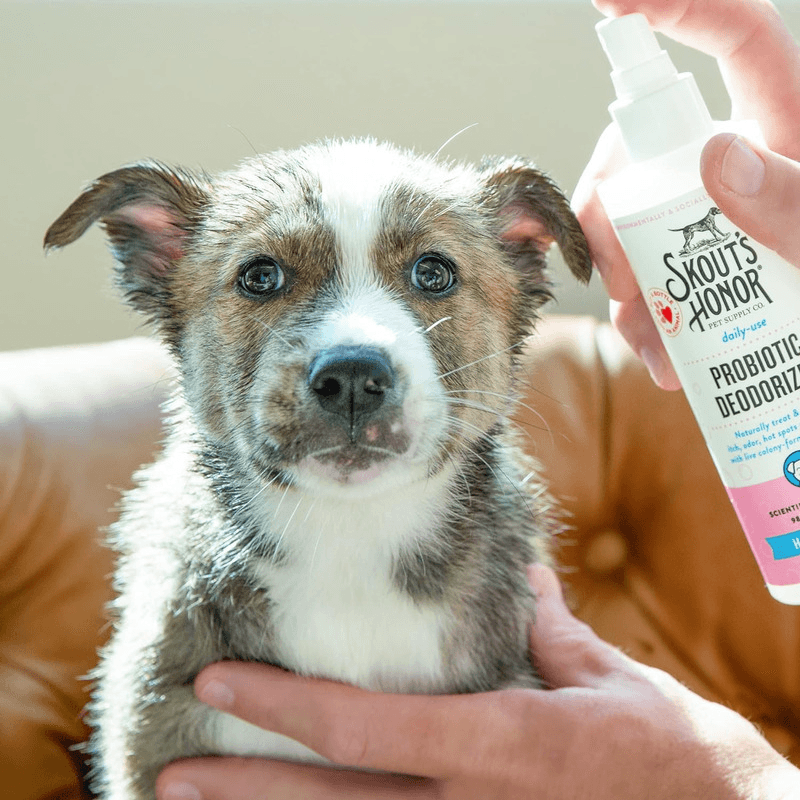Probiotic Deodorizer For Puppies - Fragrance Happy Puppy - 8 oz - J & J Pet Club - Skout's Honor