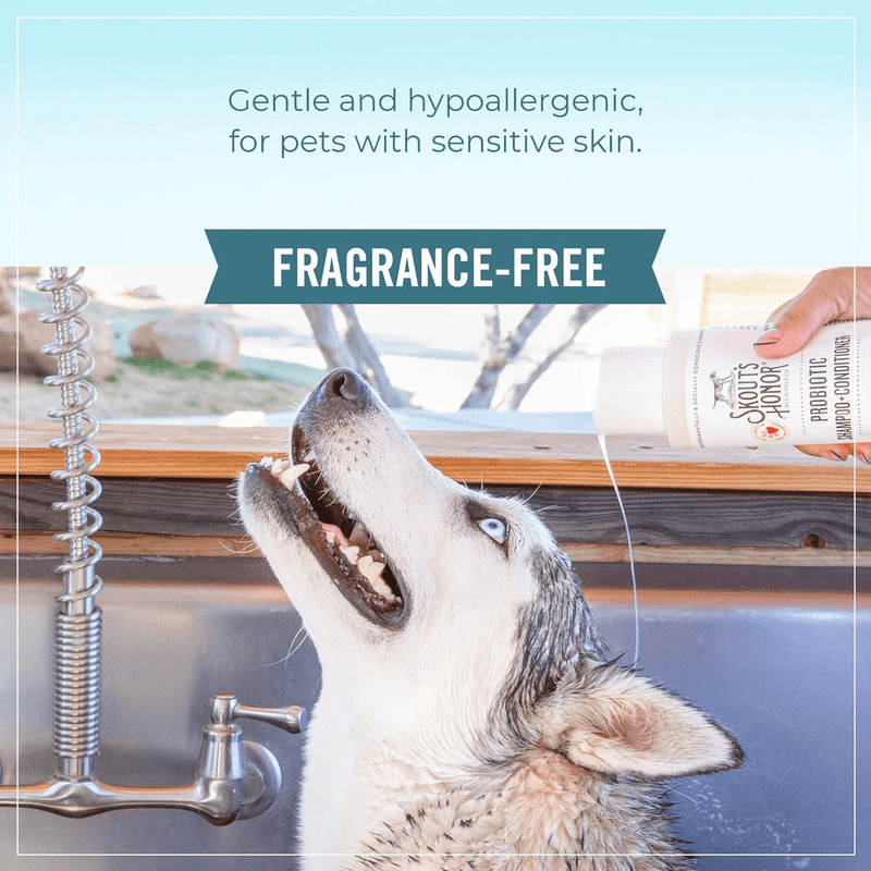 Probiotic Detangler For Dogs & Cats - Fragrance Free - 8 oz - J & J Pet Club - Skout's Honor
