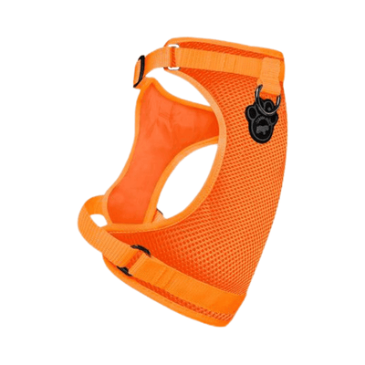 The Everything Harness - Mesh Series - Orange - J & J Pet Club - Canada Pooch