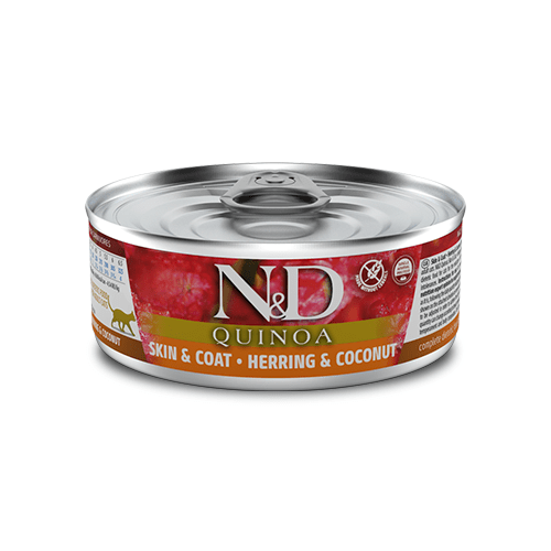 Canned Cat Food N & D QUINOA Skin & Coat Herring & Coconut 2 J & J Pet Club
