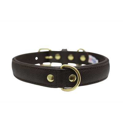 Alpine Plain Padded Leather Dog Collar - Chocolate Brown - J & J Pet Club - Angel Pet Supplies