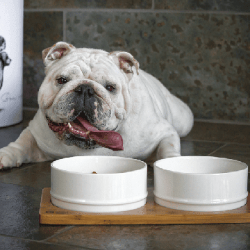 Bamboo and Ceramic Bowls - White - J & J Pet Club - Be One Breed