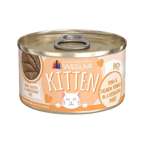 Wet Cat Food - BABY MOUSSE - with Salmon & Chicken in Broth For