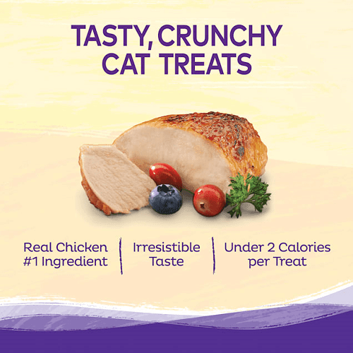 Cat Treat - Kittles - Crunchy Bites - Chicken & Cranberries - 2 oz - J & J Pet Club - Wellness