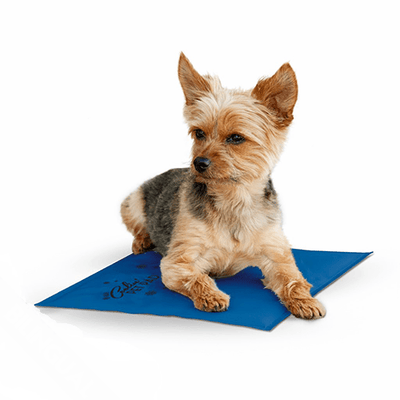 Coolin' Pet Pad - J & J Pet Club - K & H
