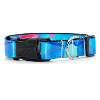 Dog Collar - ADVENTURE COLLECTION - Prism - J & J Pet Club - Woof Concept
