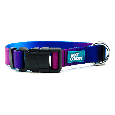 Dog Collar - IKONIC COLLECTION - Mystic - J & J Pet Club - Woof Concept