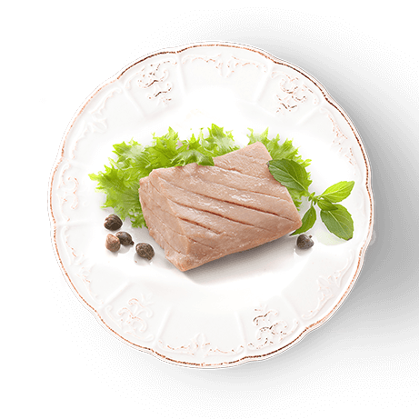 Fillets Treats For Cats - Omega 3 & 6 Tuna - 20 g - J & J Pet Club - Oven-Baked Tradition