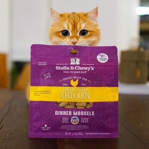 Freeze Dried Cat Food - Chicken Dinner Morsels - J & J Pet Club - Stella & Chewy's