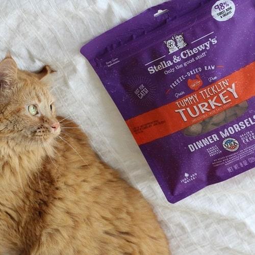 Freeze Dried Cat Food - Turkey Dinner Morsels - J & J Pet Club - Stella & Chewy's