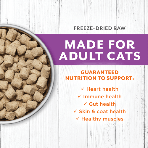 Freeze Dried Raw Cat Food - LONGEVITY - Farm Raised Rabbit Bites For Adult Cats - 9.5 oz - J & J Pet Club - Instinct