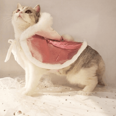 Pet Cloak - Frozen - J & J Pet Club - DR