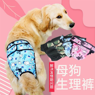 Pet Reusable Diaper - J & J Pet Club - Other