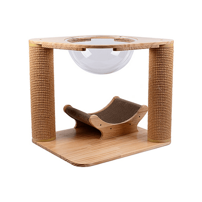 Plazy Play Platform - J & J Pet Club - Instachew