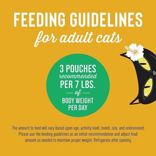 Wet Cat Food - ALOHA FRIENDS - Chicken, Pumpkin & Lamb - 2.5 oz pouch - J & J Pet Club - Tiki Cat