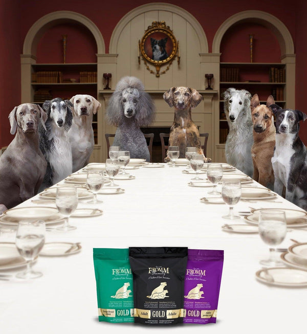 Discover Fromm Dog Food: Optimal Nutrition for Every Life Stage - J & J Pet Club