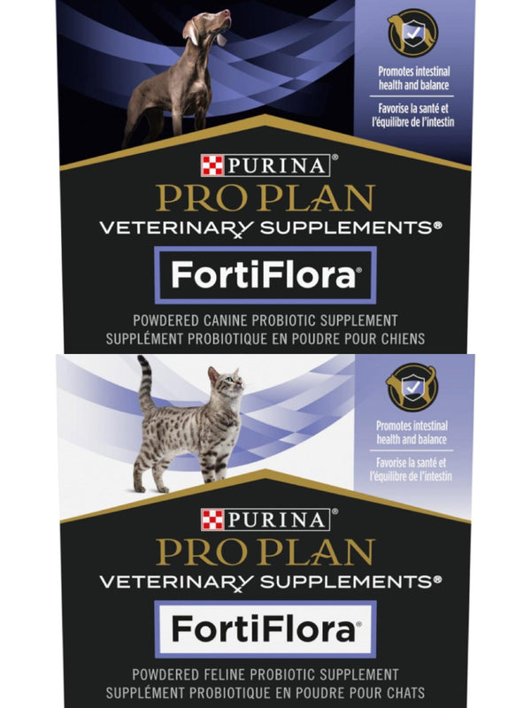 Enhancing Pet Health with Pro Plan FortiFlora Probiotics | J & J PET CLUB - J & J Pet Club
