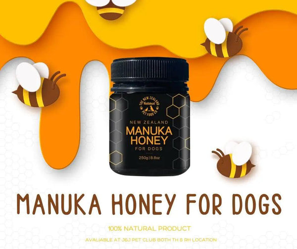 New Zealand’s Manuka Honey for Your Pooch: A Sweet Touch to Dog Nutrition | J & J PET CLUB - J & J Pet Club